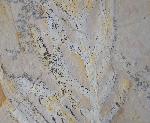 Brachyphyllum nepos SAPORTA - Bild &copy; FossNet FossilienStore